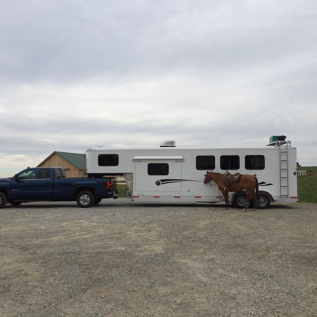 living quarters gooseneck 3 horse slant load trailer