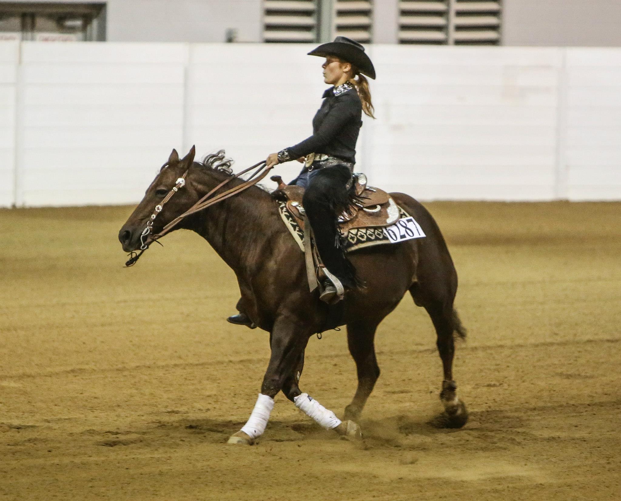 American Quarter Horse and women