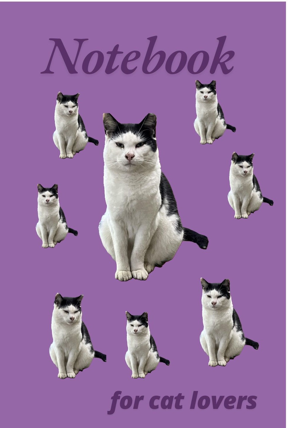 image of a black and white cat sitting on a purple background