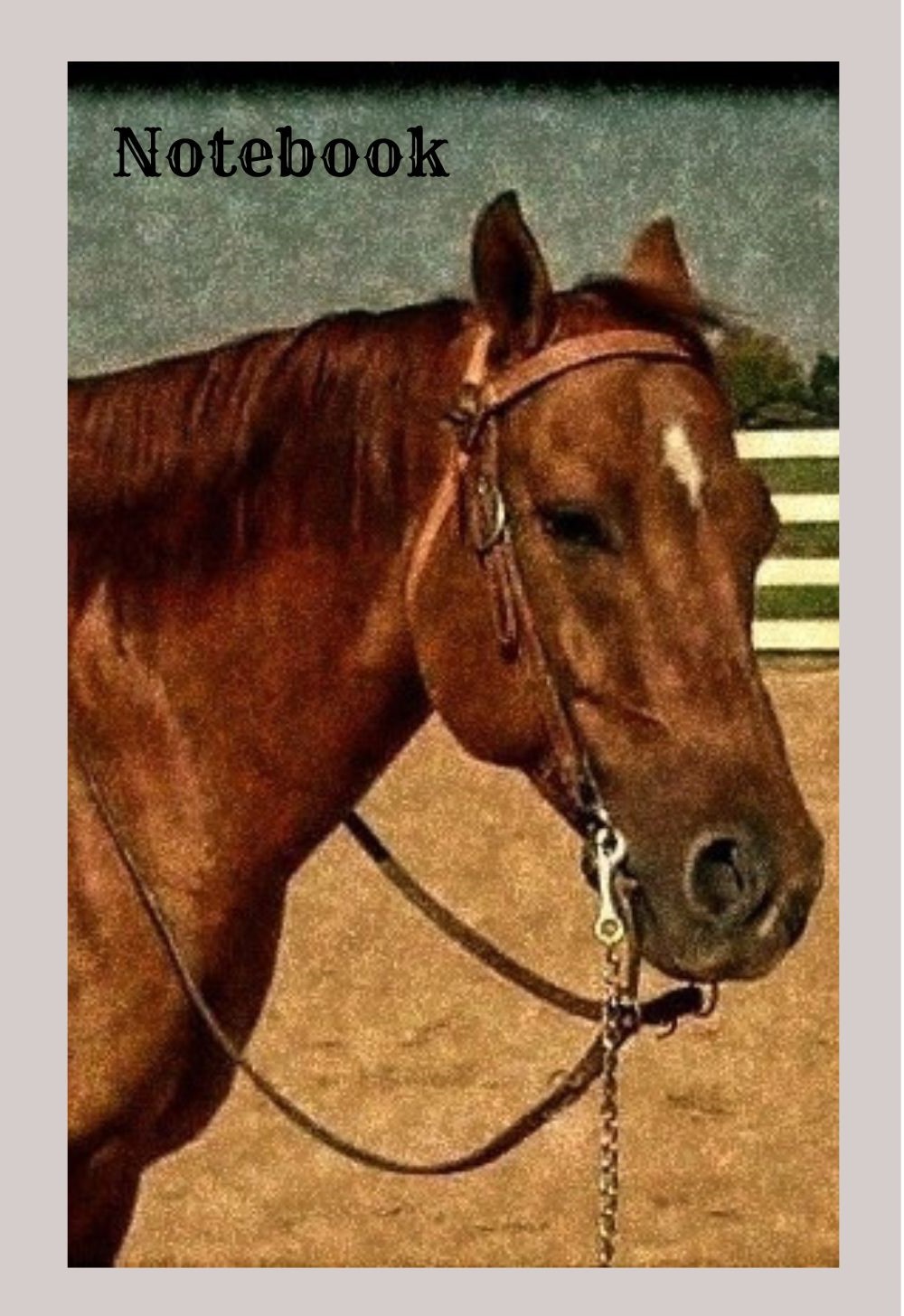 Vintage horse on the cover of a book