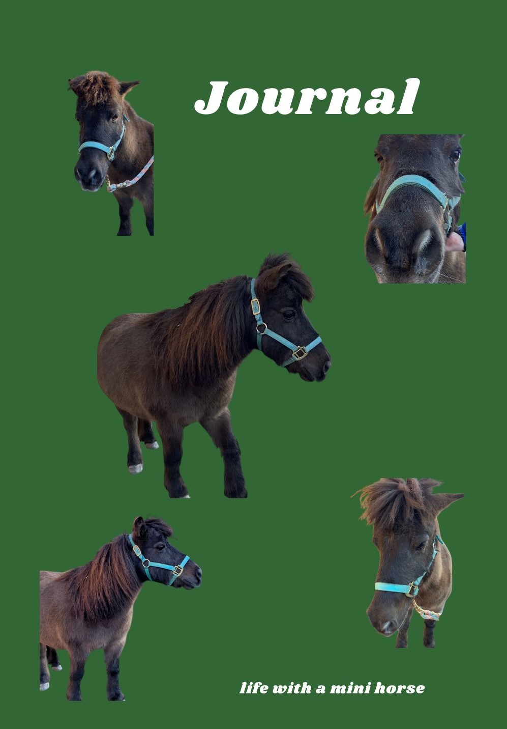 Journal: Life with a Mini Horse cover