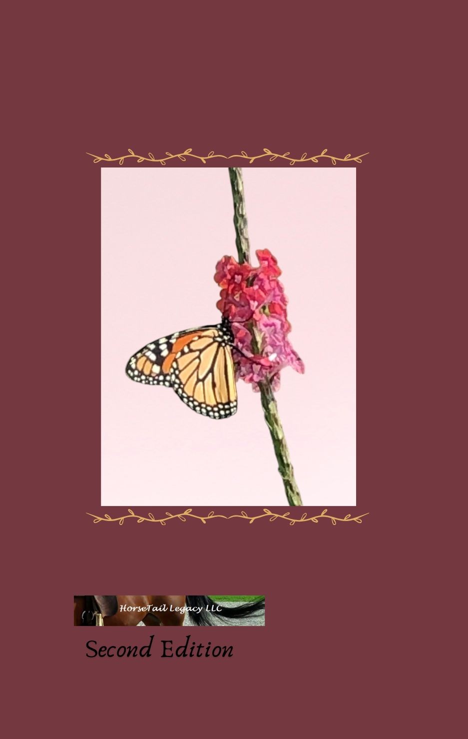 Memories of my journey second edition