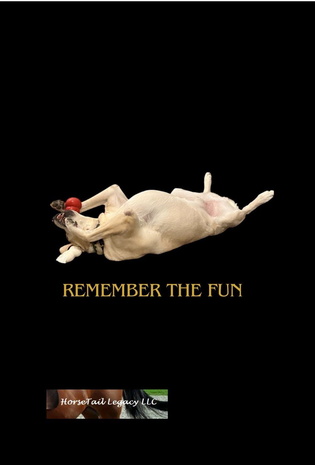 Labrador Retriever Record Your Memories Back cover with yellow Labrador Retriever