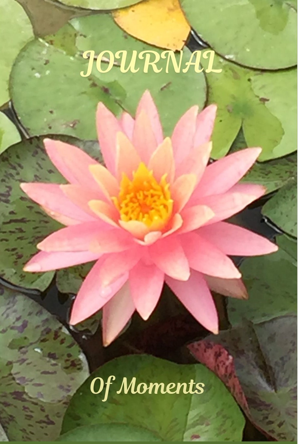 Journal of Moments pink water lily