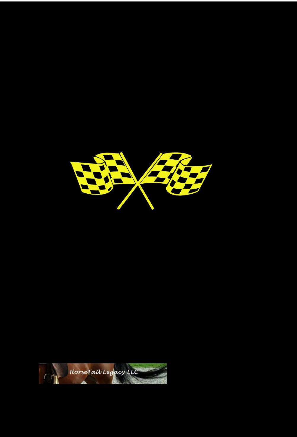 race to adventure back cover