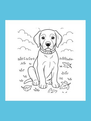 Coloring Book Labrador retriever fun 5- 8
