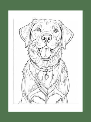 Labrador Retriever Coloring Book lab painting