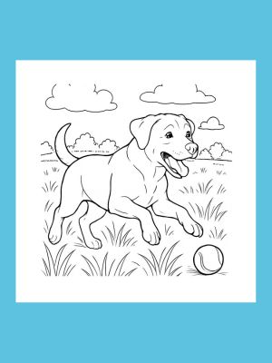 Coloring Book Labrador retriever fun 5- 8