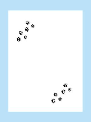 Wild adventures blank comic book