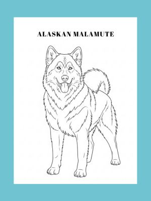 Dog Coloring Book ages 8+: Dog Breed Facts and Fun