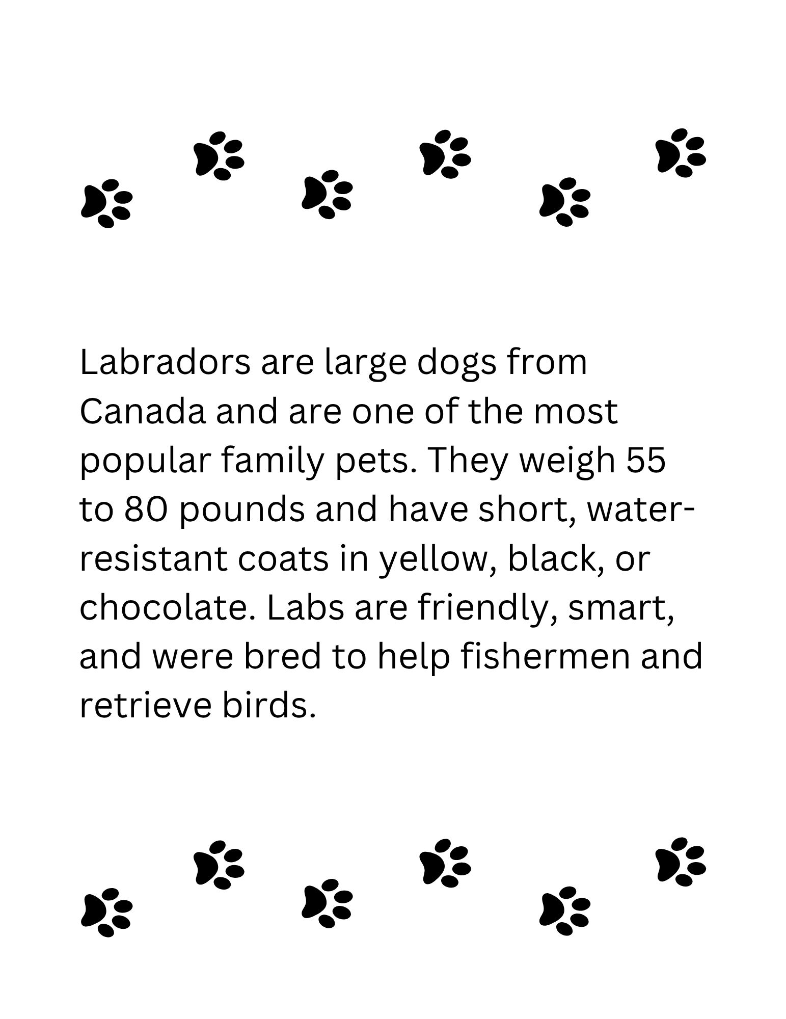 Dog Coloring Book: Fun Facts About 31 Breeds