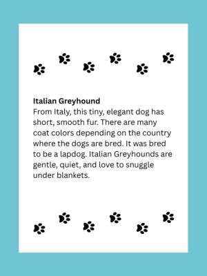 Dog Coloring Book ages 8+: Dog Breed Facts and Fun