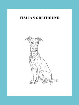 Dog Coloring Book ages 8+: Dog Breed Facts and Fun
