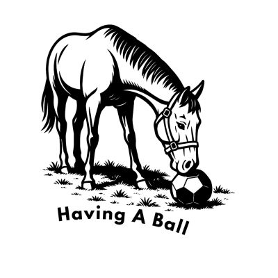 Having a ball graphic black 400 x 400