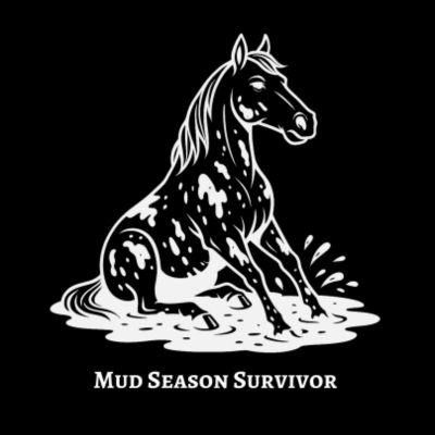 white graphic horse in mud