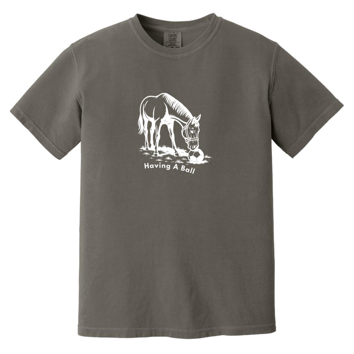 Having A Ball Horse Graphic White CC1717 Heavyweight Garment-Dyed T-Shirt