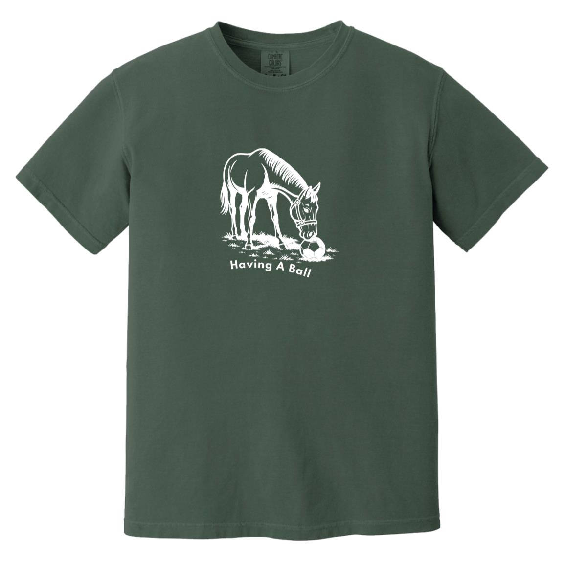 Having A Ball Horse Graphic White CC1717 Heavyweight Garment-Dyed T-Shirt