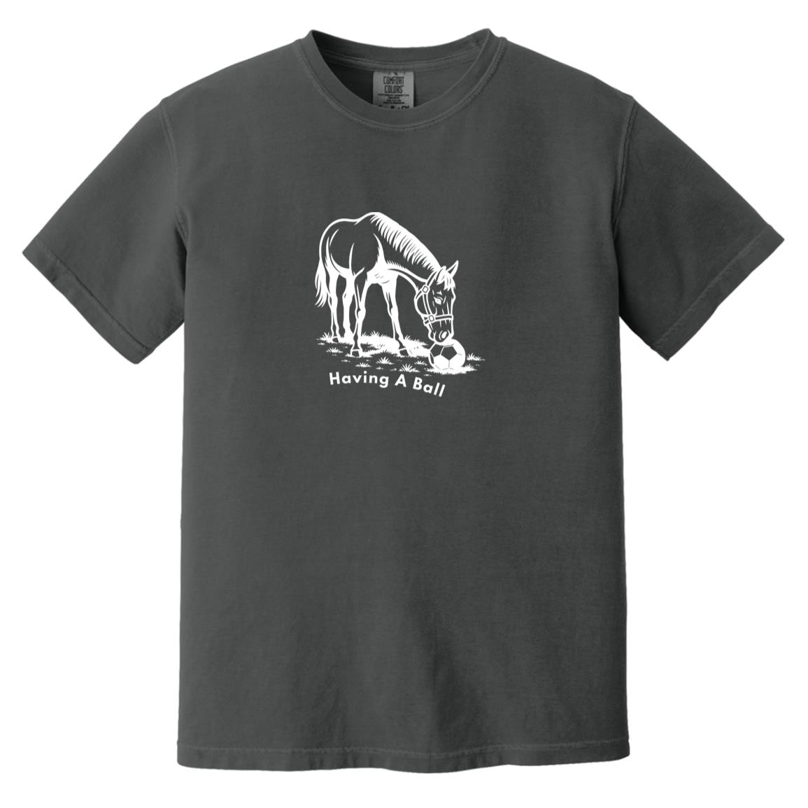 Having A Ball Horse Graphic White CC1717 Heavyweight Garment-Dyed T-Shirt