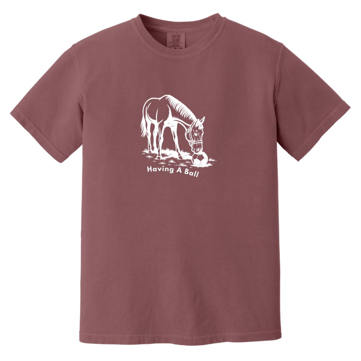 Having A Ball Horse Graphic White CC1717 Heavyweight Garment-Dyed T-Shirt