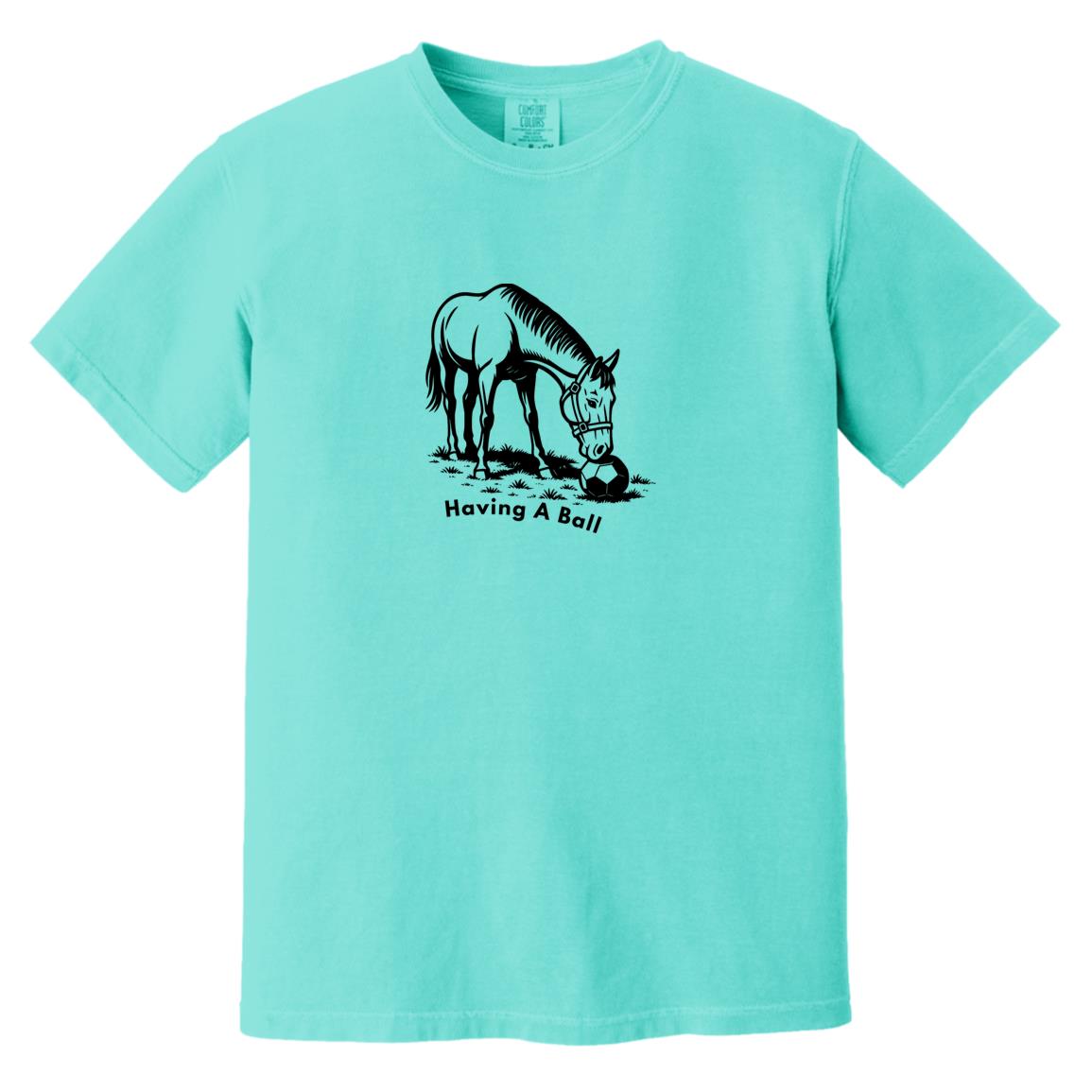 Having A Ball Horse Graphic Black CC1717 Heavyweight Garment-Dyed T-Shirt