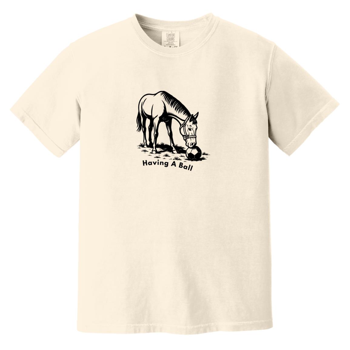 Having A Ball Horse Graphic Black CC1717 Heavyweight Garment-Dyed T-Shirt