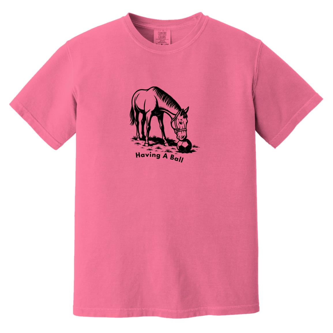 Having A Ball Horse Graphic Black CC1717 Heavyweight Garment-Dyed T-Shirt