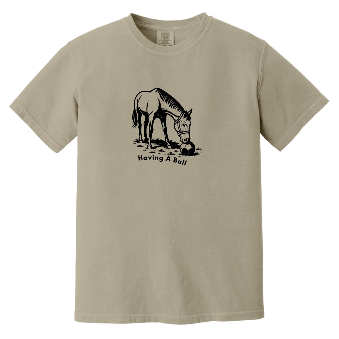 Having A Ball Horse Graphic Black CC1717 Heavyweight Garment-Dyed T-Shirt