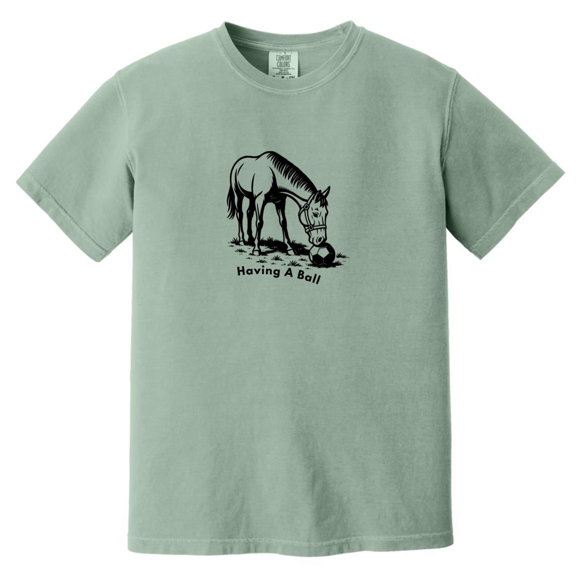 Having A Ball Horse Graphic Black CC1717 Heavyweight Garment-Dyed T-Shirt