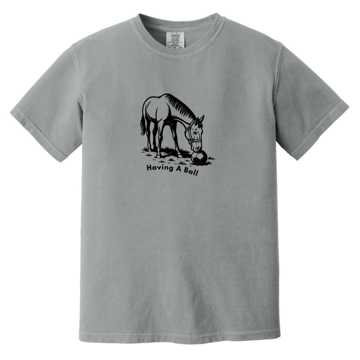 Having A Ball Horse Graphic Black CC1717 Heavyweight Garment-Dyed T-Shirt