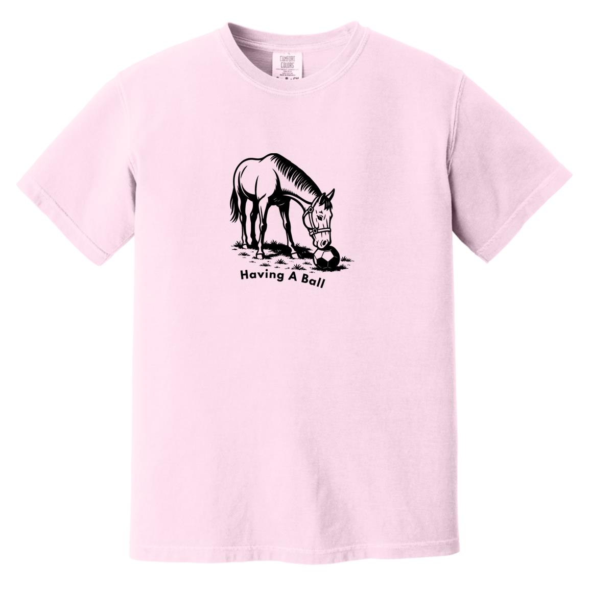 Having A Ball Horse Graphic Black CC1717 Heavyweight Garment-Dyed T-Shirt