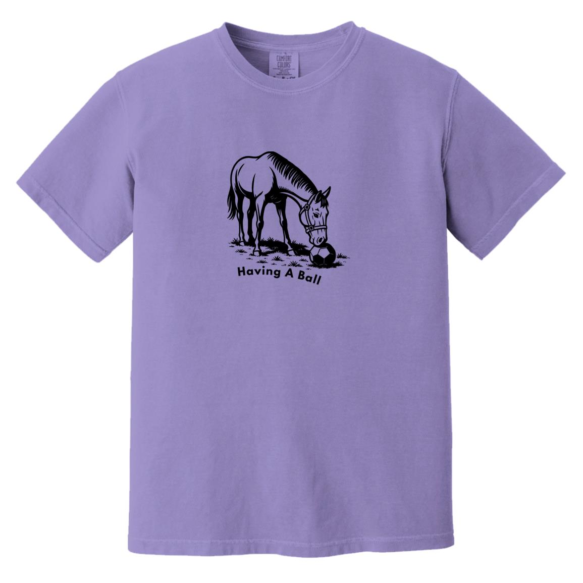 Having A Ball Horse Graphic Black CC1717 Heavyweight Garment-Dyed T-Shirt